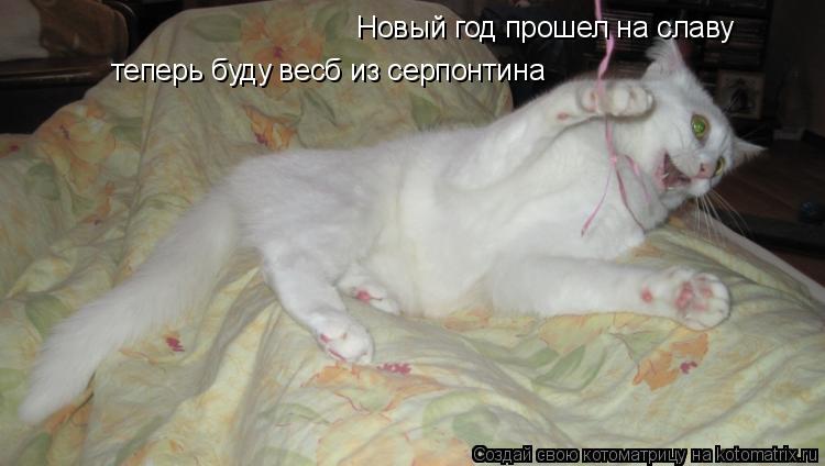 Новый год прошел на славу теперь буду весб из серпонтина... Котоматрица: Новый год прошел на славу теперь буду весб из серпонтина