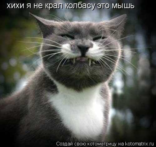 хихи я не крал колбасу это мышь... Котоматрица: хихи я не крал колбасу это мышь