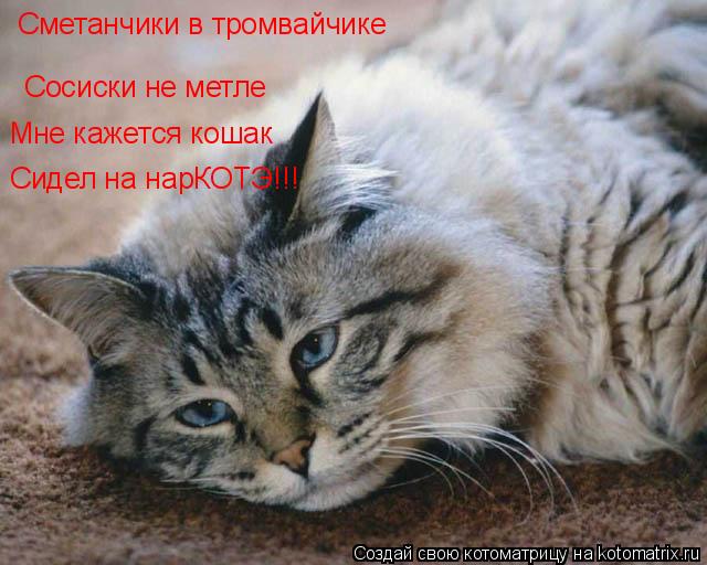 Сметанчики в тромвайчике Сосиски не метле Сметанчики в тромвайчике Мне кажется кошак Сидел на нарКОТЭ... Котоматрица: Сметанчики в тромвайчике Сосиски не метле Сметанчики в тромвайчике Мне кажется кошак Сидел на нарКОТЭ!!!