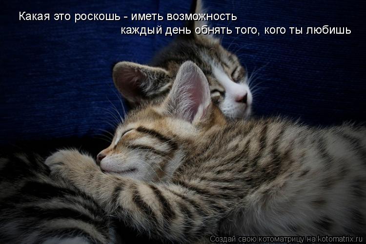 Какая это роскошь - иметь возможность каждый день обнять того, кого ты любишь... Котоматрица: Какая это роскошь - иметь возможность каждый день обнять того, кого ты любишь