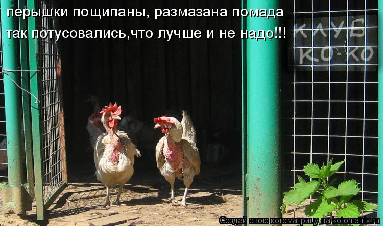 перышки пощипаны, размазана помада так потусовались,что лучше и не надо!!!... Котоматрица: перышки пощипаны, размазана помада так потусовались,что лучше и не надо!!!