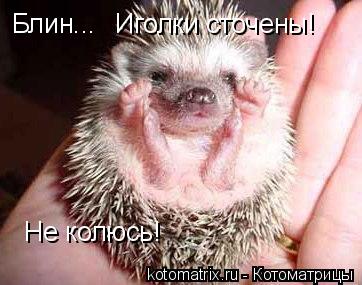 Блин... Не колусь! Не колюсь! Иголки сточены! Иголки сточены!... Котоматрица: Блин... Не колусь! Не колюсь! Иголки сточены! Иголки сточены!