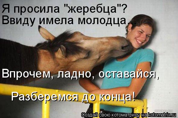 Я просила "жеребца"? Ввиду имела молодца... Впрочем, ладно, оставайся, Разберемся до конца!... Котоматрица: Я просила "жеребца"? Ввиду имела молодца... Впрочем, ладно, оставайся, Разберемся до конца!