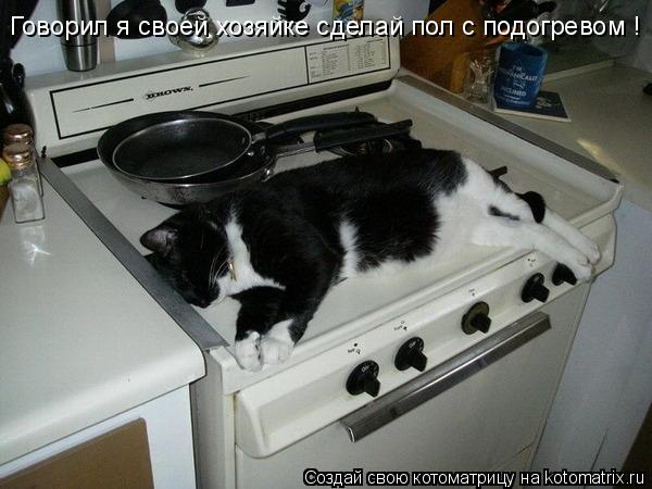 Говорил я своей хозяйке сделай пол с подогревом !... Котоматрица: Говорил я своей хозяйке сделай пол с подогревом !