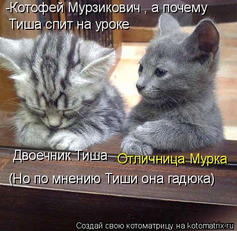 -Котофей Мурзикович , а почему Тиша спит на уроке Двоечник Тиша Отличница Мурка (Но по мнению Тиши о... Котоматрица: -Котофей Мурзикович , а почему Тиша спит на уроке Двоечник Тиша Отличница Мурка (Но по мнению Тиши она гадюка)