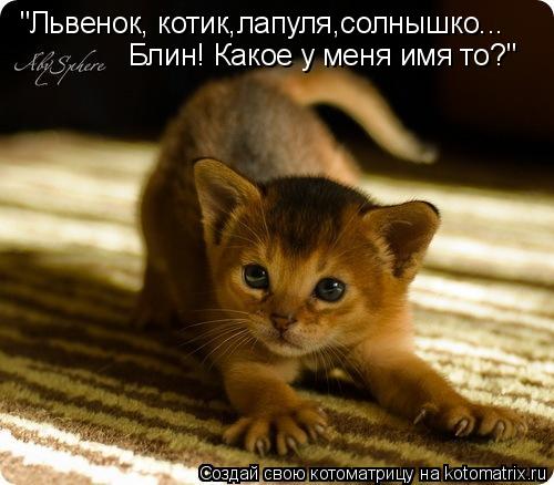 "Львенок, котик,лапуля,солнышко... Блин! Какое у меня имя то?"... Котоматрица: "Львенок, котик,лапуля,солнышко... Блин! Какое у меня имя то?"