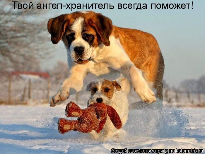 Твой ангел-хранитель всегда поможет!... Котоматрица: Твой ангел-хранитель всегда поможет!