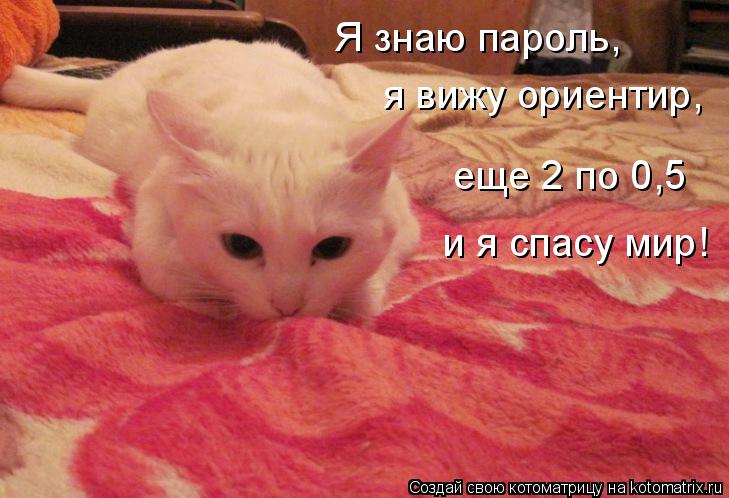 Я знаю пароль, я вижу ориентир, еще 2 по 0,5 и я спасу мир!... Котоматрица: Я знаю пароль, я вижу ориентир, еще 2 по 0,5 и я спасу мир!