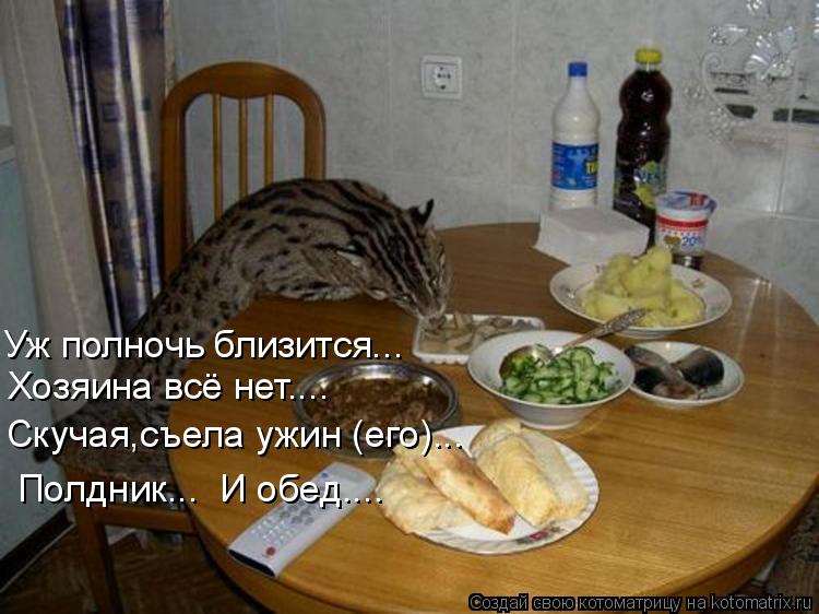 Уж полночь близится... Хозяина всё нет.... Скучая,съела ужин (его)... Полдник... И обед....... Котоматрица: Уж полночь близится... Хозяина всё нет.... Скучая,съела ужин (его)... Полдник... И обед....