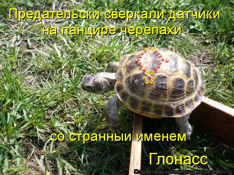 Предательски сверкали датчики на панцире черепахи со странныи именем Глонасс... Котоматрица: Предательски сверкали датчики на панцире черепахи со странныи именем Глонасс