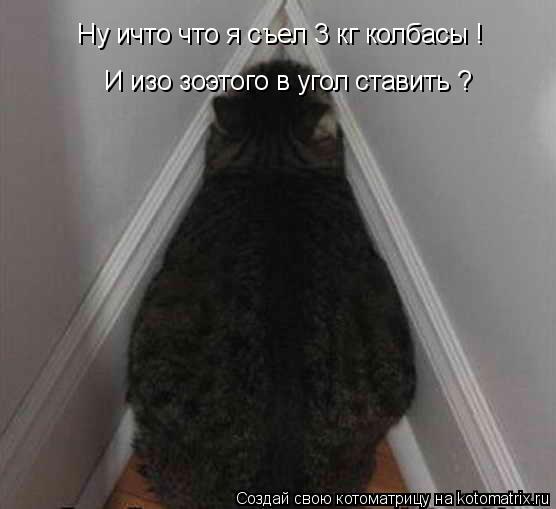 Ну ичто что я съел 3 кг колбасы ! И изо зоэтого в угол ставить ?... Котоматрица: Ну ичто что я съел 3 кг колбасы ! И изо зоэтого в угол ставить ?
