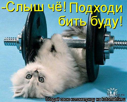 -Слыш чё! Подходи бить буду!... Котоматрица: -Слыш чё! Подходи бить буду!