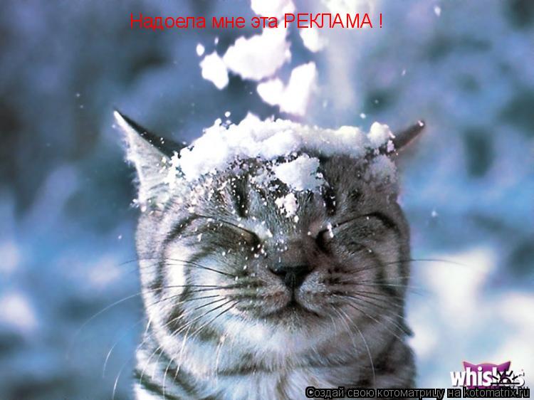 Надоела мне эта РЕКЛАМА !... Котоматрица: Надоела мне эта РЕКЛАМА !