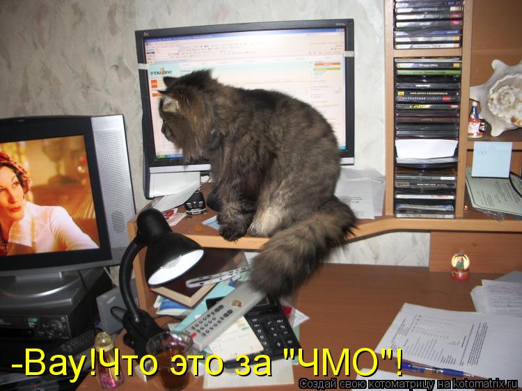 -Вау!Что это за "ЧМО"!... Котоматрица: -Вау!Что это за "ЧМО"!