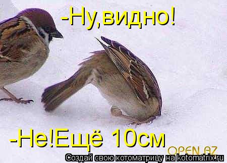 -Ну,видно! -Не!Ещё 10см... Котоматрица: -Ну,видно! -Не!Ещё 10см