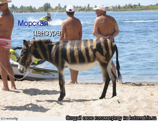 Морская цензура... Котоматрица: Морская цензура