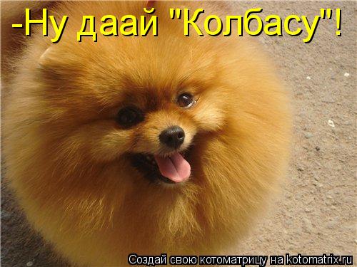 -Ну даай "Колбасу"!... Котоматрица: -Ну даай "Колбасу"!