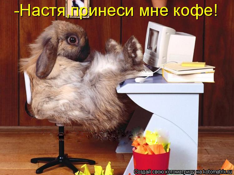 -Настя,принеси мне кофе!... Котоматрица: -Настя,принеси мне кофе!