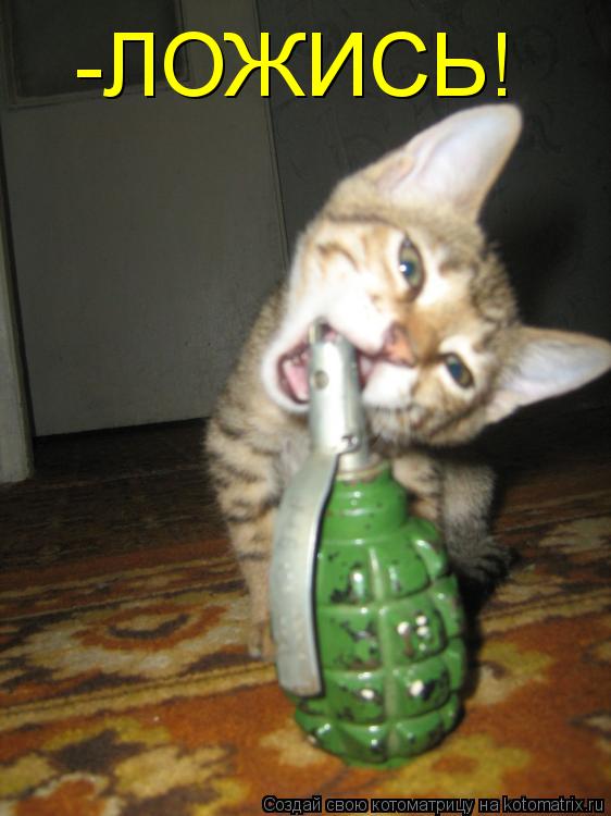 -ЛОЖИСЬ!... Котоматрица: -ЛОЖИСЬ!