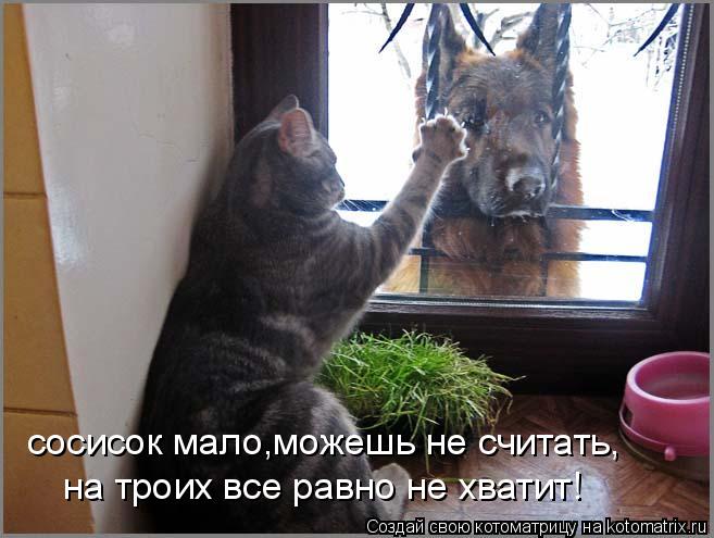 сосисок мало,можешь не считать, на троих все равно не хватит!... Котоматрица: сосисок мало,можешь не считать, на троих все равно не хватит!