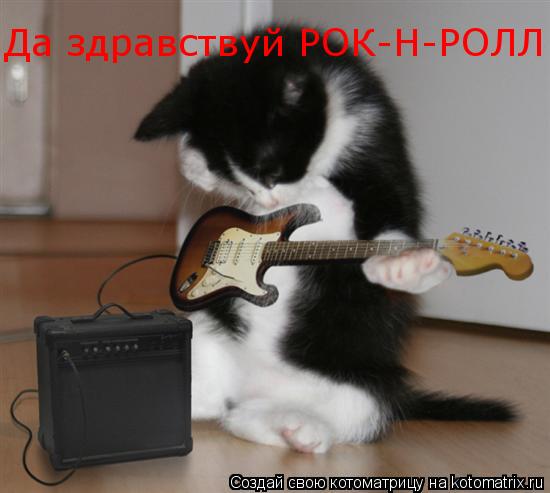 Да здравствуй РОК-Н-РОЛЛ... Котоматрица: Да здравствуй РОК-Н-РОЛЛ