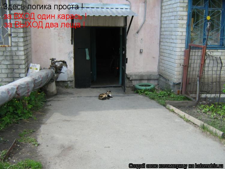 Здесь логика проста ! за ВХОД один карась ! за ВЫХОД два леща !... Котоматрица: Здесь логика проста ! за ВХОД один карась ! за ВЫХОД два леща !