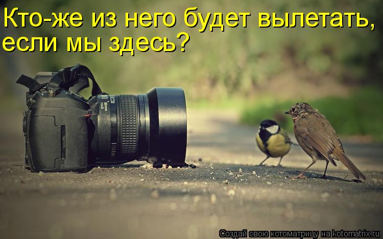 Кто-же из него будет вылетать, если мы здесь?... Котоматрица: Кто-же из него будет вылетать, если мы здесь?