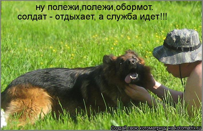 ну полежи,полежи,обормот. солдат - отдыхает, а служба идет!!!... Котоматрица: ну полежи,полежи,обормот. солдат - отдыхает, а служба идет!!!