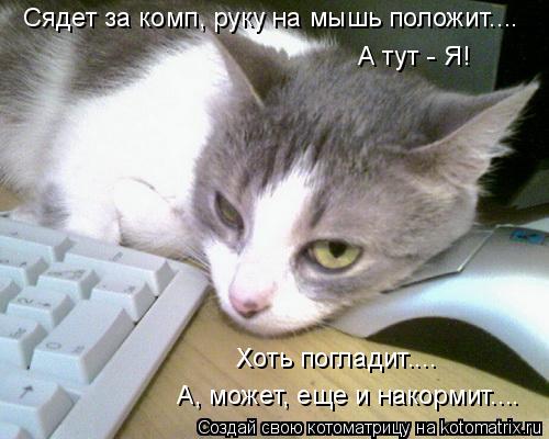 Сядет за комп, руку на мышь положит.... А тут - Я! Хоть погладит.... А, может, еще и накормит....... Котоматрица: Сядет за комп, руку на мышь положит.... А тут - Я! Хоть погладит.... А, может, еще и накормит....