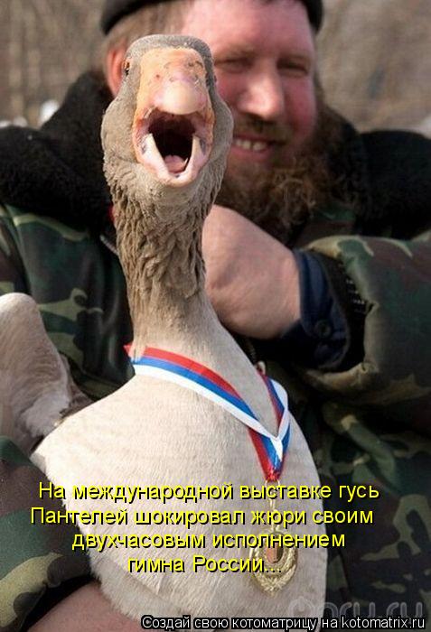На международной выставке гусь Пантелей шокировал жюри своим двухчасовым исполнением гимна России...... Котоматрица: На международной выставке гусь Пантелей шокировал жюри своим двухчасовым исполнением гимна России...