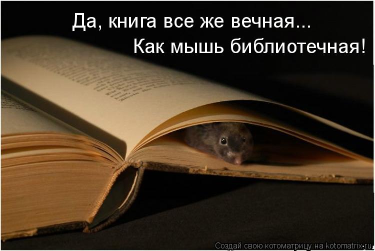 Да, книга все же вечная... Как мышь библиотечная!... Котоматрица: Да, книга все же вечная... Как мышь библиотечная!