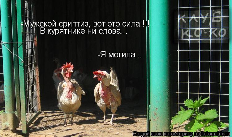 -Мужской сриптиз, вот это сила !!! В курятнике ни слова... -Я могила...... Котоматрица: -Мужской сриптиз, вот это сила !!! В курятнике ни слова... -Я могила...