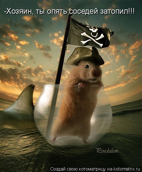 -Хозяин, ты опять соседей затопил!!!... Котоматрица: -Хозяин, ты опять соседей затопил!!!