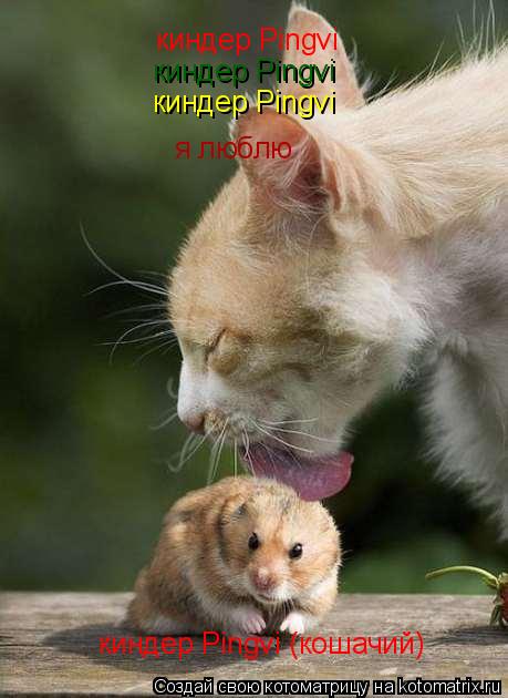 киндер Pingvi (кошачий) киндер Pingvi киндер Pingvi киндер Pingvi я люблю... Котоматрица: киндер Pingvi (кошачий) киндер Pingvi киндер Pingvi киндер Pingvi я люблю
