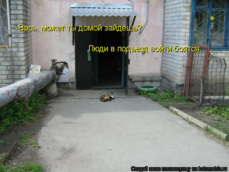 -Вась, может ты домой зайдешь? Люди в подъезд войти боятся...... Котоматрица: -Вась, может ты домой зайдешь? Люди в подъезд войти боятся...