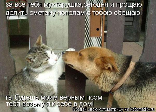 за все тебя мухтарушка,сегодня я прощаю делить сметану пополам с тобою обещаю! ты будешь моим верным... Котоматрица: за все тебя мухтарушка,сегодня я прощаю делить сметану пополам с тобою обещаю! ты будешь моим верным псом, тебя возьму я к себе в дом!