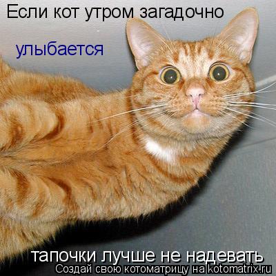 Если кот утром загадочно тапочки лучше не надевать улыбается... Котоматрица: Если кот утром загадочно тапочки лучше не надевать улыбается