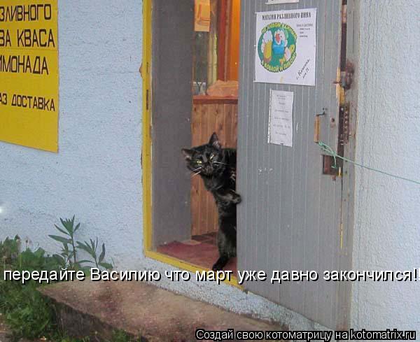 передайте Василию что март уже давно закончился!!!... Котоматрица: передайте Василию что март уже давно закончился!!!
