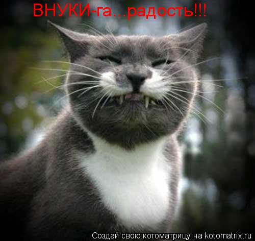 ВНУКИ-га...радость!!!... Котоматрица: ВНУКИ-га...радость!!!