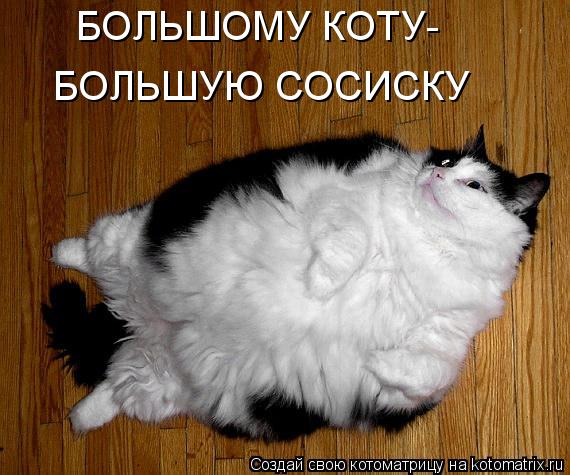 БОЛЬШОМУ КОТУ- БОЛЬШУЮ СОСИСКУ... Котоматрица: БОЛЬШОМУ КОТУ- БОЛЬШУЮ СОСИСКУ