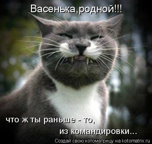 Васенька,родной!!! что ж ты раньше - то, из командировки...... Котоматрица: Васенька,родной!!! что ж ты раньше - то, из командировки...