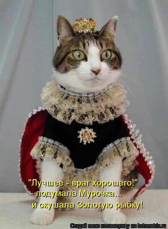 "Лучшее - враг хорошего!" - подумала Мурочка... и скушала Золотую рыбку!... Котоматрица: "Лучшее - враг хорошего!" - подумала Мурочка... и скушала Золотую рыбку!