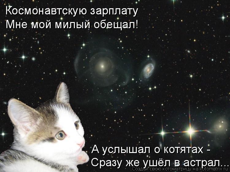 Космонавтскую зарплату Космонавтскую зарплату Мне мой милый обещал! А услышал о котятах - Сразу же уш... Котоматрица: Космонавтскую зарплату Космонавтскую зарплату Мне мой милый обещал! А услышал о котятах - Сразу же ушёл в астрал...