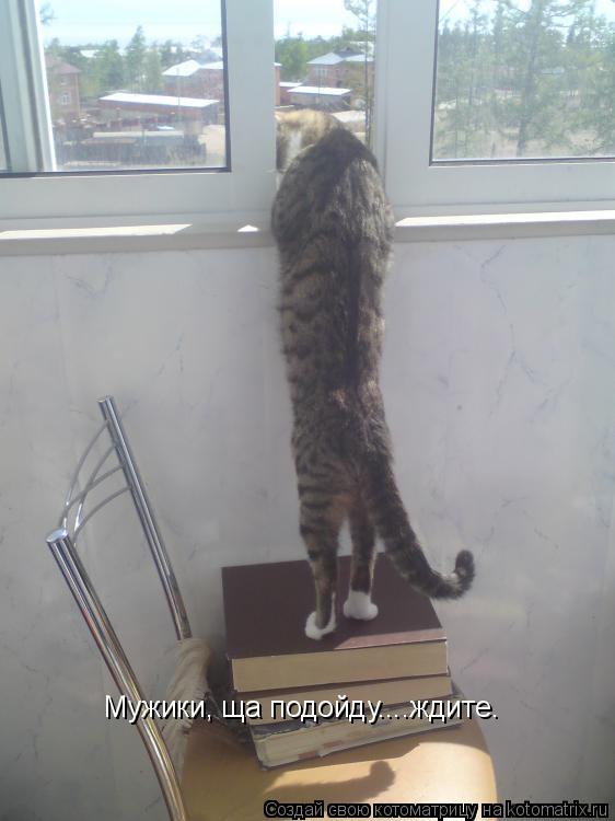Мужики, ща подойду....ждите.... Котоматрица: Мужики, ща подойду....ждите.