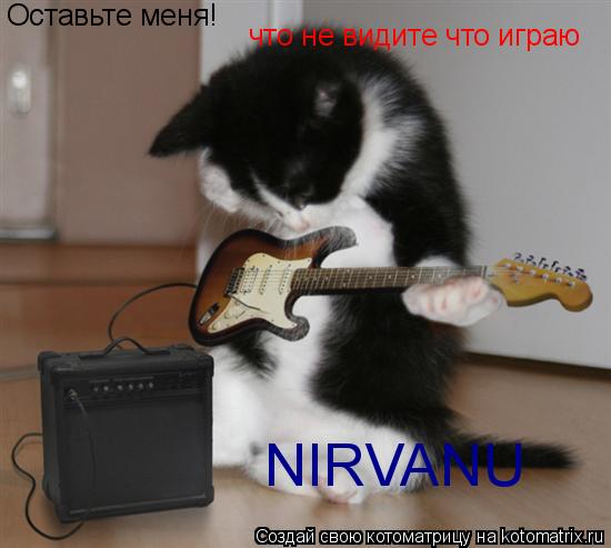 Оставьте меня! что не видите что играю NIRVANU... Котоматрица: Оставьте меня! что не видите что играю NIRVANU