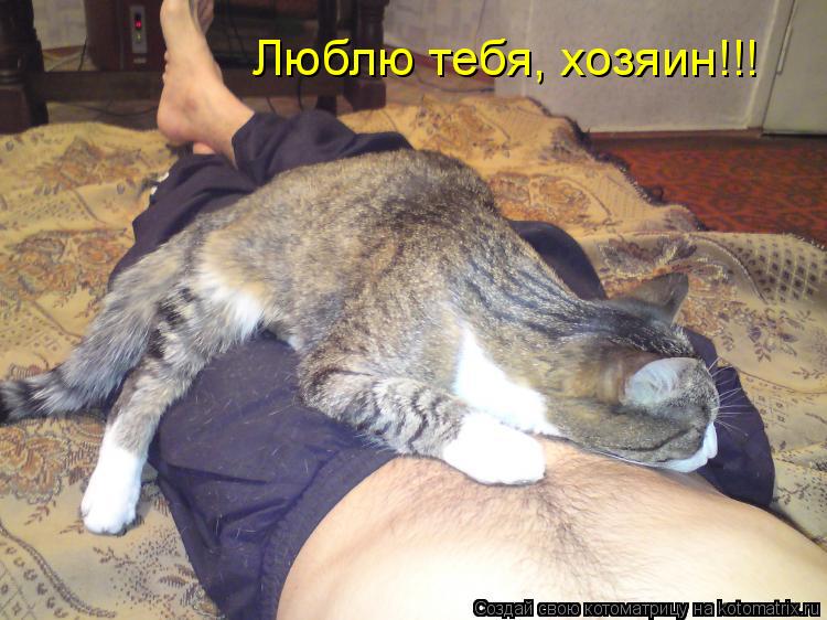 Люблю тебя, хозяин!!!... Котоматрица: Люблю тебя, хозяин!!!