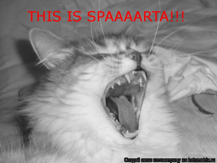 THIS IS SPAAAARTA!!!... Котоматрица: THIS IS SPAAAARTA!!!