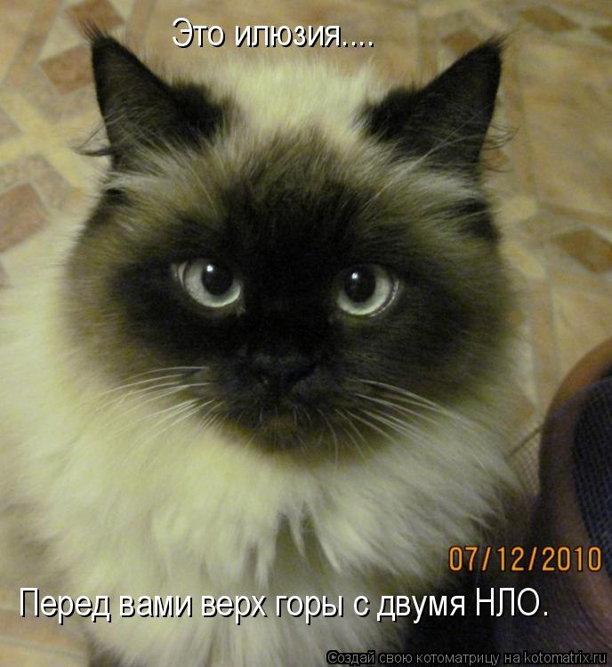 Это илюзия.... Перед вами верх горы с двумя НЛО.... Котоматрица: Это илюзия.... Перед вами верх горы с двумя НЛО.