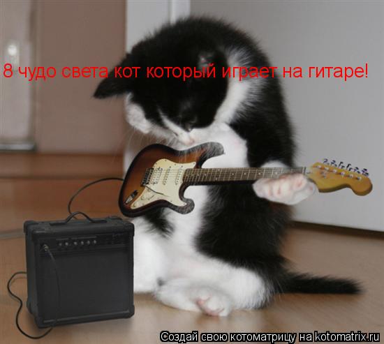 8 чудо света кот который играет на гитаре!... Котоматрица: 8 чудо света кот который играет на гитаре!