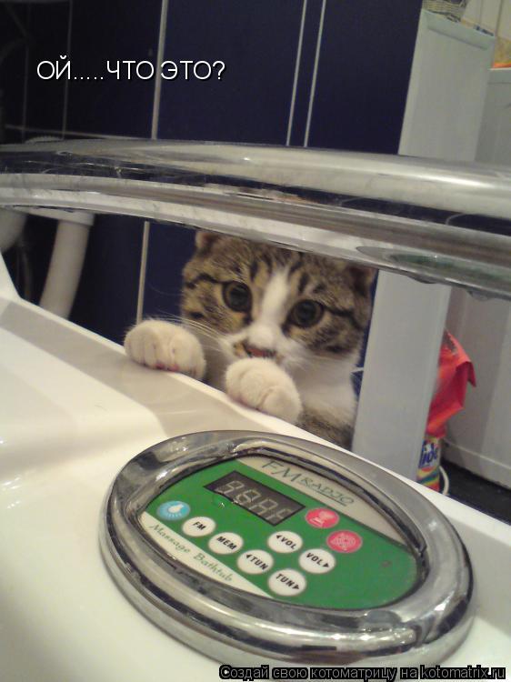 ОЙ.....ЧТО ЭТО?... Котоматрица: ОЙ.....ЧТО ЭТО?